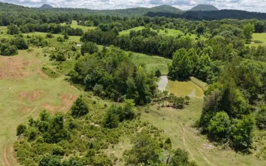Land For Sale In The Ozark Mountains Of Arkansas
