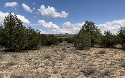 36 Acres – Backs to Public Land – Seller Financing Avail
