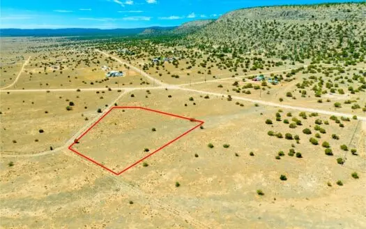 Fantastic Northern AZ rural property with convenient access
