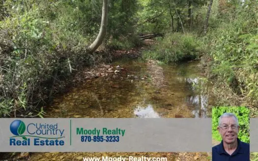 Ozarks Acreage With Creek & Spring For Sale Near Salem Arkansas