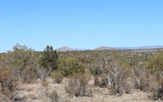 Rural and Private Mountain Property for Sale in Northern Arizona