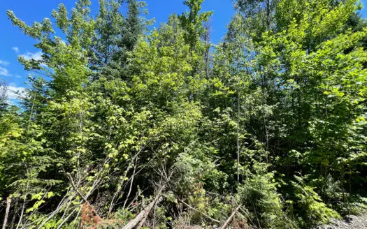 1.19 Acre Parcel with Deeded Lake Access