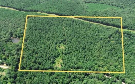Lincoln Parish Timberland for Sale