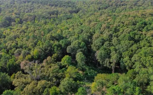 34.50 Acres Residential Land for Sale NE Lincoln Parish