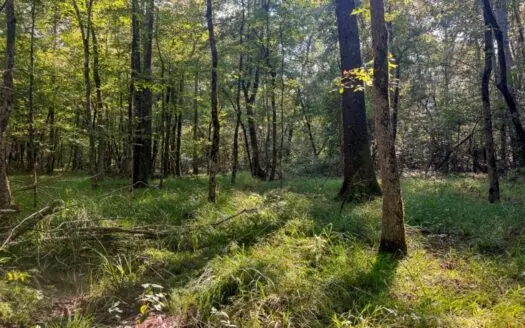 Residential Land for Sale NE Lincoln Parish