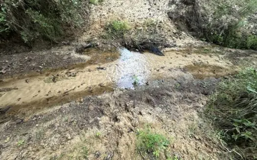 East Texas Recreational/Hunting Land For Sale