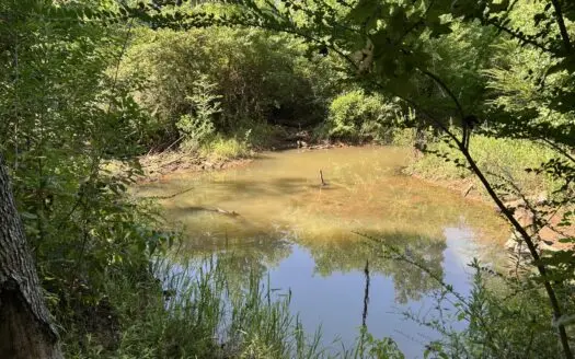 East Texas Hunting/Recreational/Timber Land For Sale