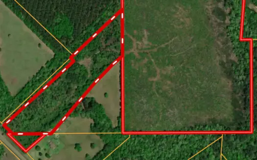 80 Acres in Kirbyville Texas! – Land with timber and creek access