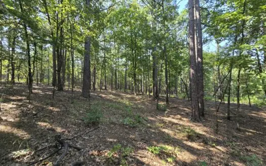 Kiamichi Mountain Recreational Property