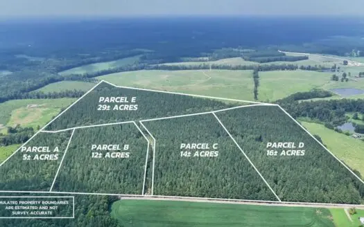 80± Acres with Creek, Wildlife & Building Potential, VA