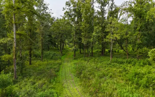 Lorman, MS Hunting Property near the Mississippi River