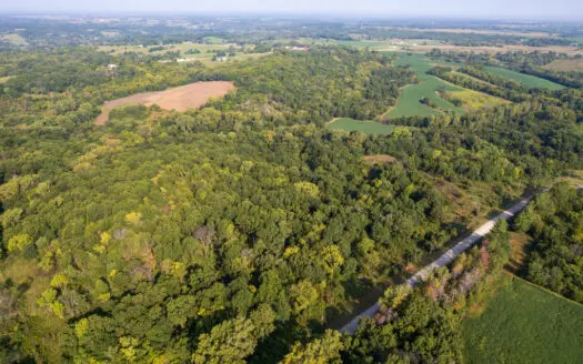 Lucas County | Premier Whitetail & Turkey Hunting