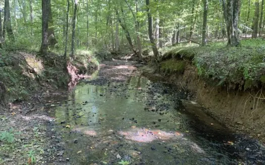 Land With Creek For Sale In Tn With Mature Hardwoods Unrestricted