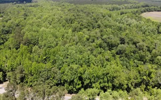 98 acres situated along the scenic Jackson Branch