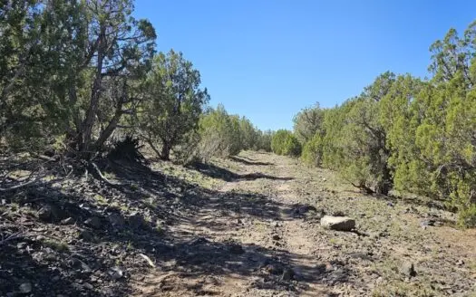 Over 47 acres, spectacular views, & hunting unit 10!