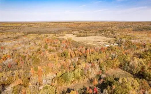 40 Acres of Recreational Land for Sale North of Bruno MN