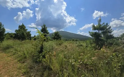 80 Acre Timber Investment and Recreational Property