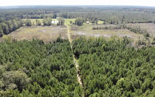106+ acres of land for recreation, timber, and habitat management