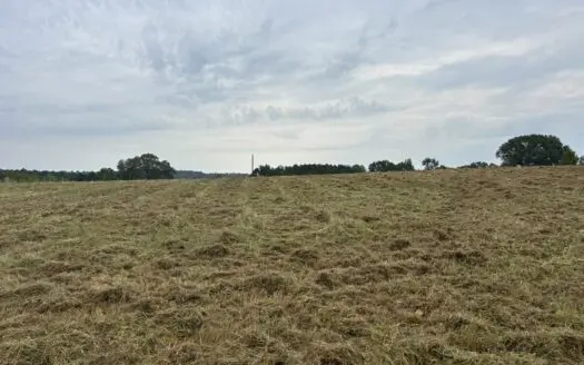 Great Homesite Opportunity in Linden, Texas