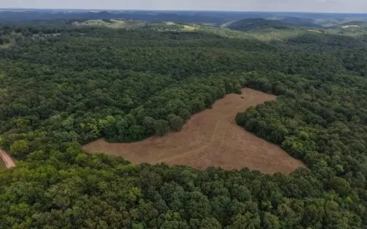 Hunting And Recreational Land For Sale In Ozark Mountains
