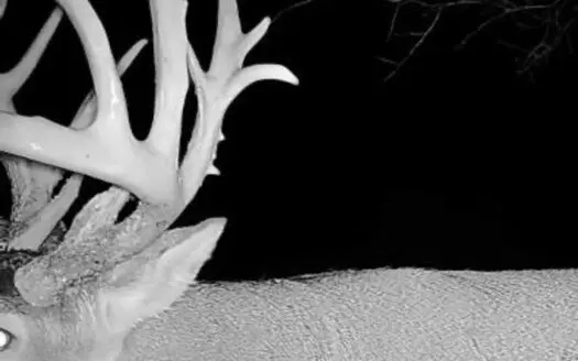 The Perfect 160 in Franklin County Kansas