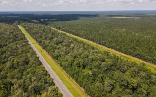 533 Acres | Thicket, TX | Recreation, Hunting & Timber