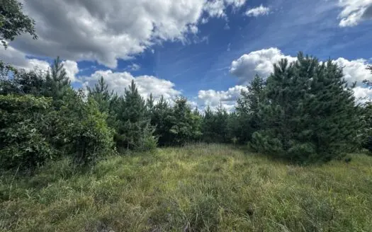 40-acre timber tract in Adams County