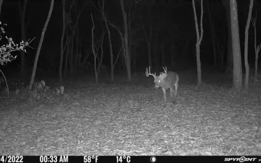 Warrick County Homesite – All Utilities – Minutes to Evansville