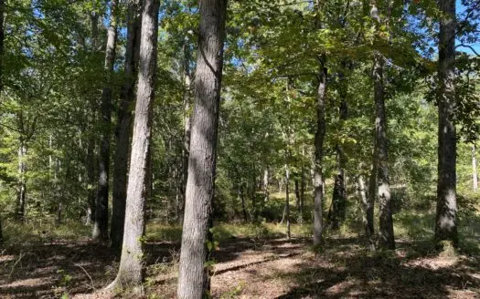 Land For Sale In Tn. Mature Hardwoods, 7.5Ac+/- No Restrictions