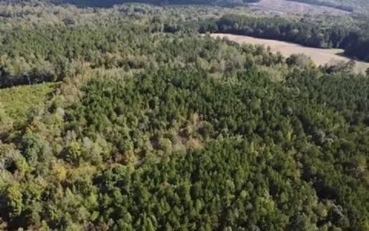 Hidden Acres: Secluded VA Retreat w/ Creek Boundary & Game Galore