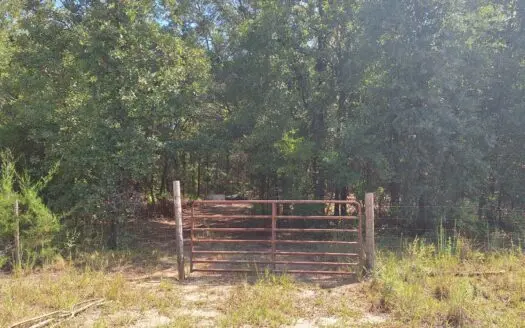 1 Acre Lot Near The Suwannee River, Bell Florida