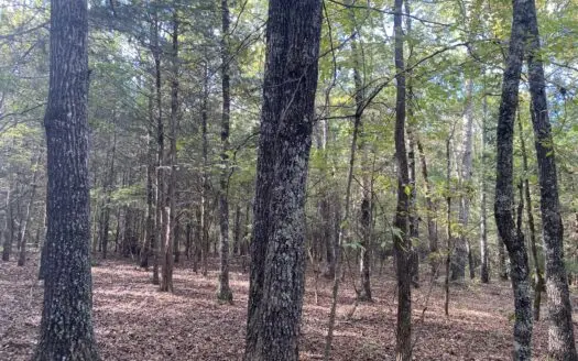 Land For Sale In Country Location In Hardin County, Tn