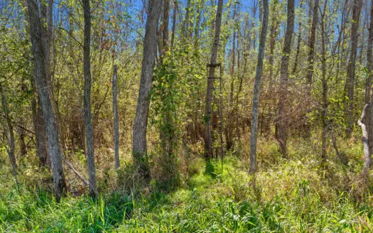 Buffalo County Riverfront Hunting Land for Sale