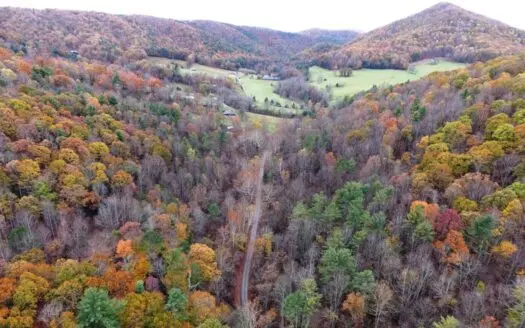 Hunting land, horse trails  for sale Ivanhoe, Va