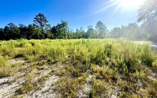 Land For Sale In O’brien Florida