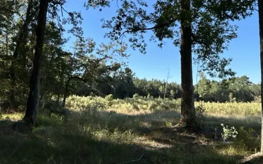 Commercial Land for Sale with Highway Frontage near El Dorado, AR