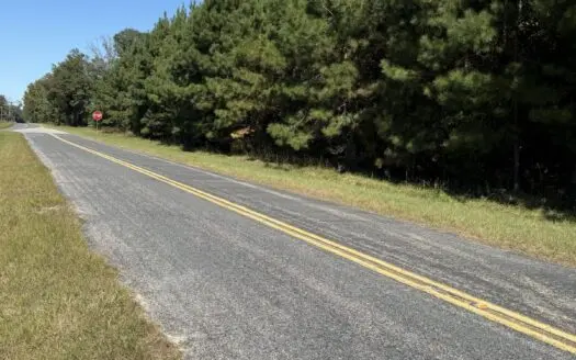 Sack Farm – 373± Acres | Bamberg County, SC