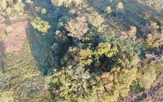 40-acre gem in Marquette County, Wisconsin