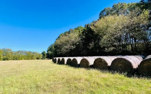 Operating Cattle Farm For Sale in Potts Camp, Marshall Co., MS
