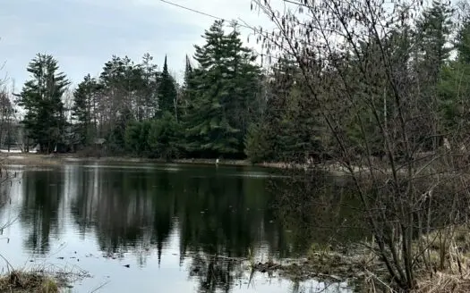 4-Acre Wooded Retreat on the Thunder Bay River – Atlanta, MI