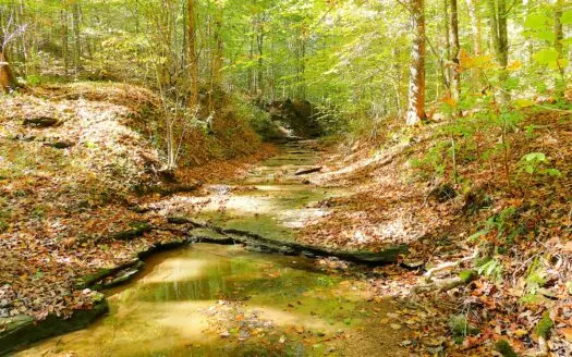 Hunting, Building Sites, Woods, Quiet, Dead-End Road