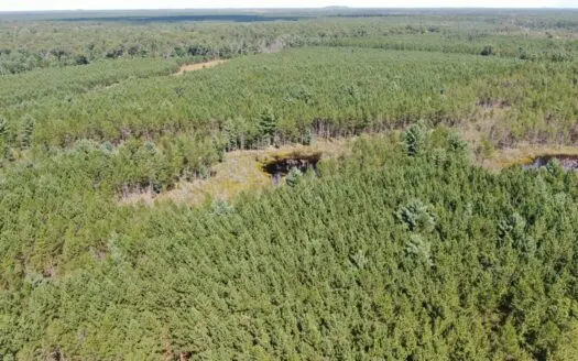 40-acre timber tract in the Town of Monroe, Adams County