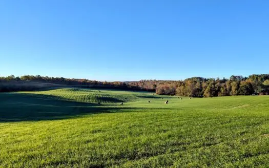 Large Tract of Land for Sale in Check VA