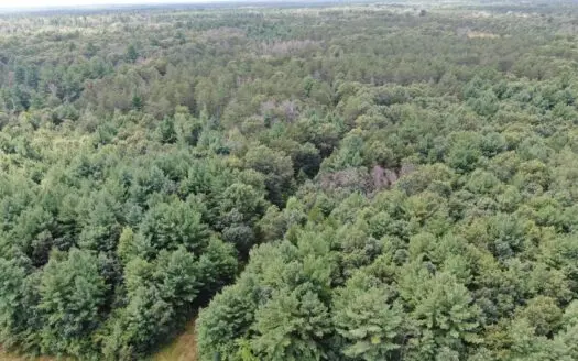 Escape to 80 acres of heavily timbered ground in Adams County