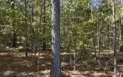 East Texas Recreational Land For Sale