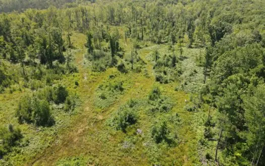 Hunting land for sale in Newaygo County Michigan