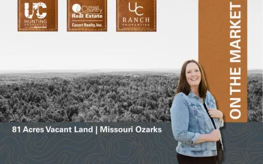 81 Acres of Wooded Vacant Land for sale in the Missouri Ozarks