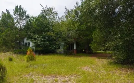 Acreage for Sale in Dillon County SC!