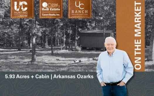 Secluded Acreage and Cabin for sale in the Arkansas Ozarks