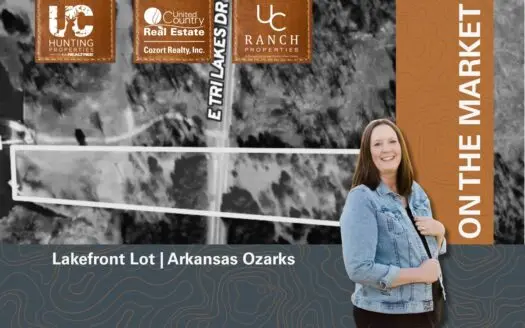 Lakefront Lot in the Arkansas Ozarks